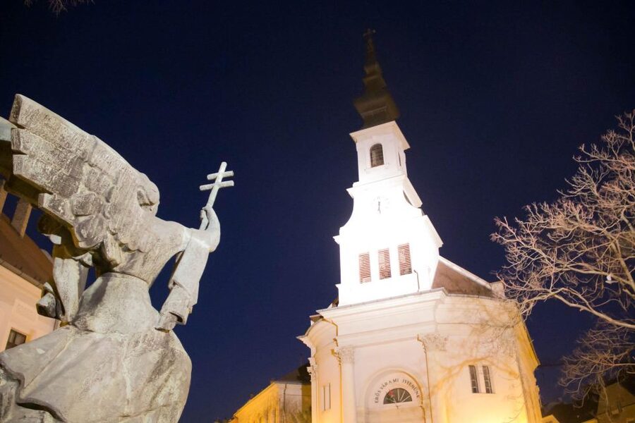 2 Hours Buda Castle Walking Tour - Walk with a Historian - Buda Castle itself, the “why” behind the kings’ seat area