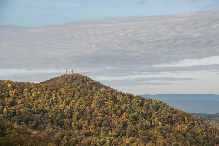 3Hour Outdoor Budapest Normafa Hike&History With a Historian - Quick hits