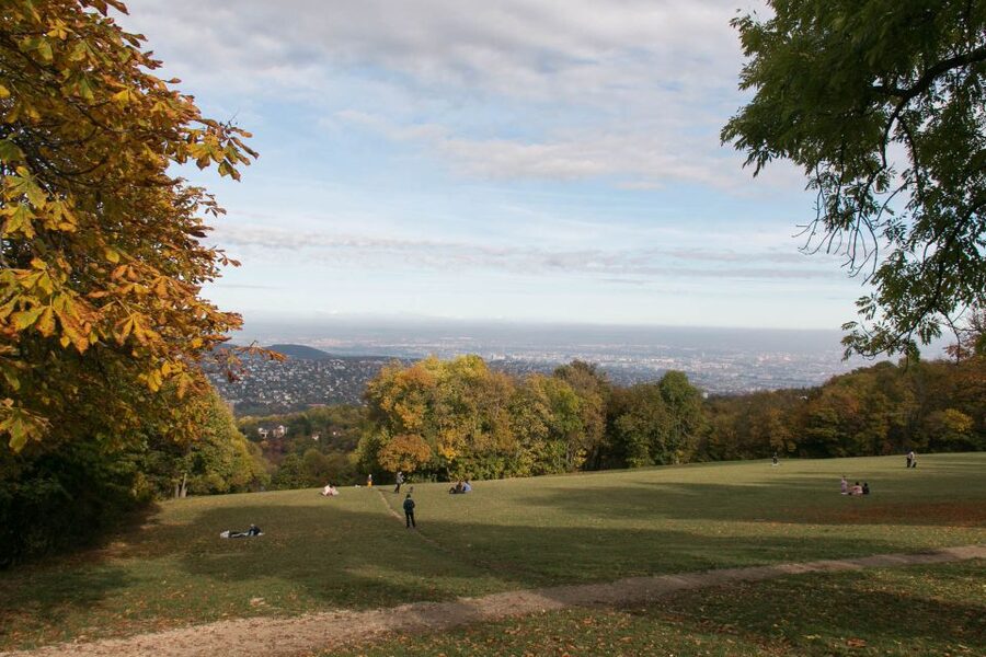 3Hour Outdoor Budapest Normafa Hike&History With a Historian - Elizabeth Lookout: the view stop that earns its time