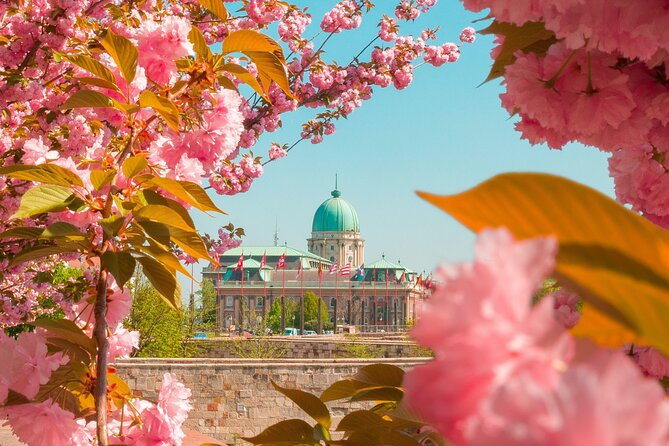 Best of Budapest Tour - Gellert Hill to Citadella: The Photo Start That Sets the Tone