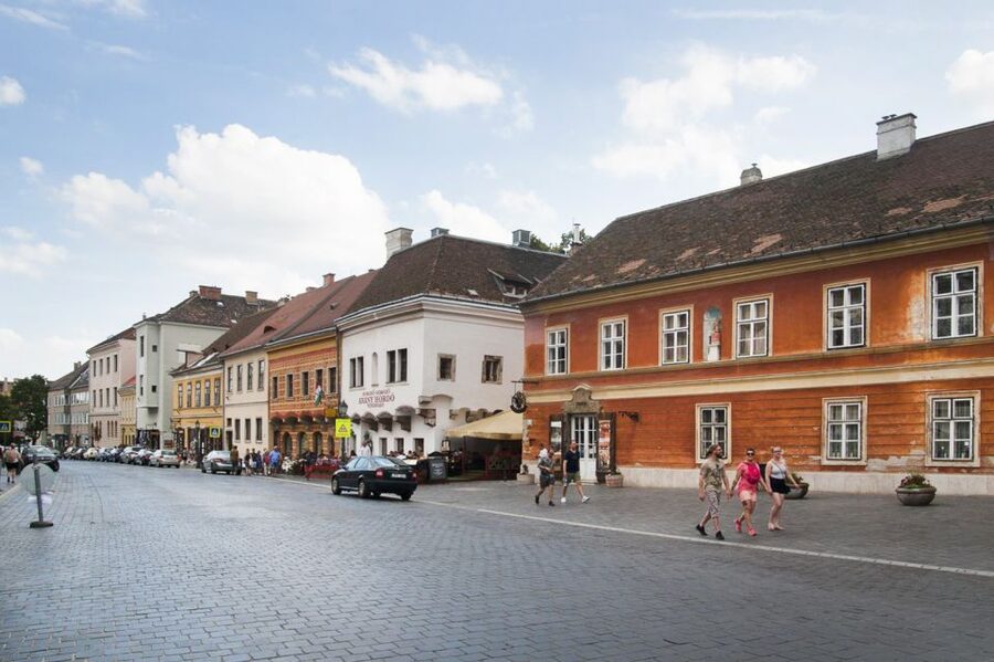 Budapest: Buda Castle Walking Tour in German - Matthias Church and the Holy Trinity Statue start