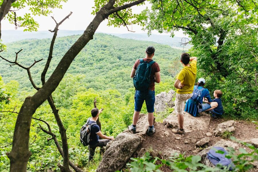 Budapest: Buda Hills Guided Hiking Tour with Optional Lunch - Why the Buda Hills hike feels like a real Budapest change of pace