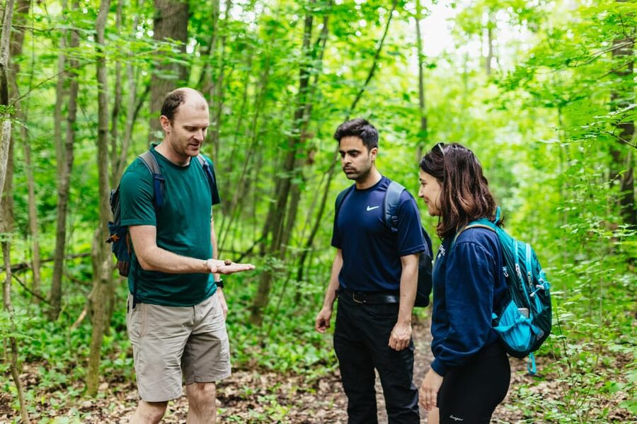 Budapest: Buda Hills Guided Hiking Tour with Optional Lunch - Normafa start: wooded trails and early Budapest views