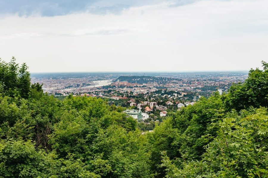 Budapest: Buda Hills Guided Hiking Tour with Optional Lunch - Pace and terrain: what comfortable shoes really mean