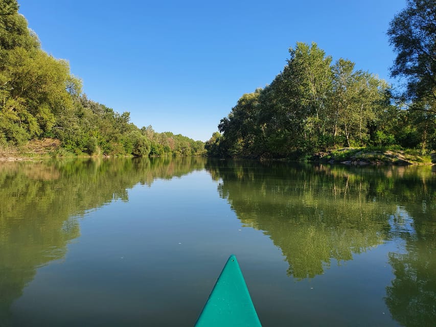 Budapest: Canoeing the Danube w or wo Sauna or Danube Beach - Should you book this Budapest Danube canoe with sauna or beach?