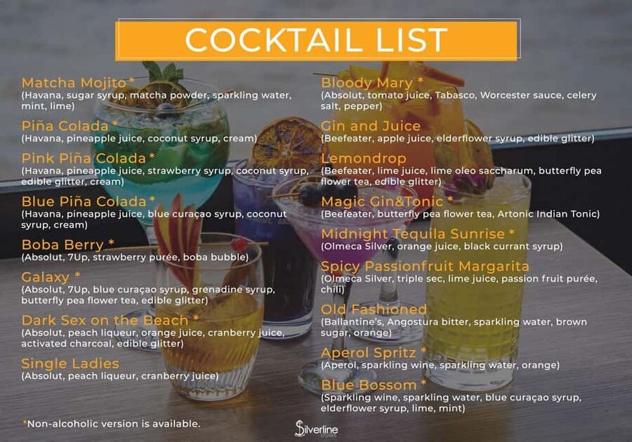 Budapest: Downtown Budapest Cocktail Cruise - Who should book this Danube cocktail cruise, and who should skip it