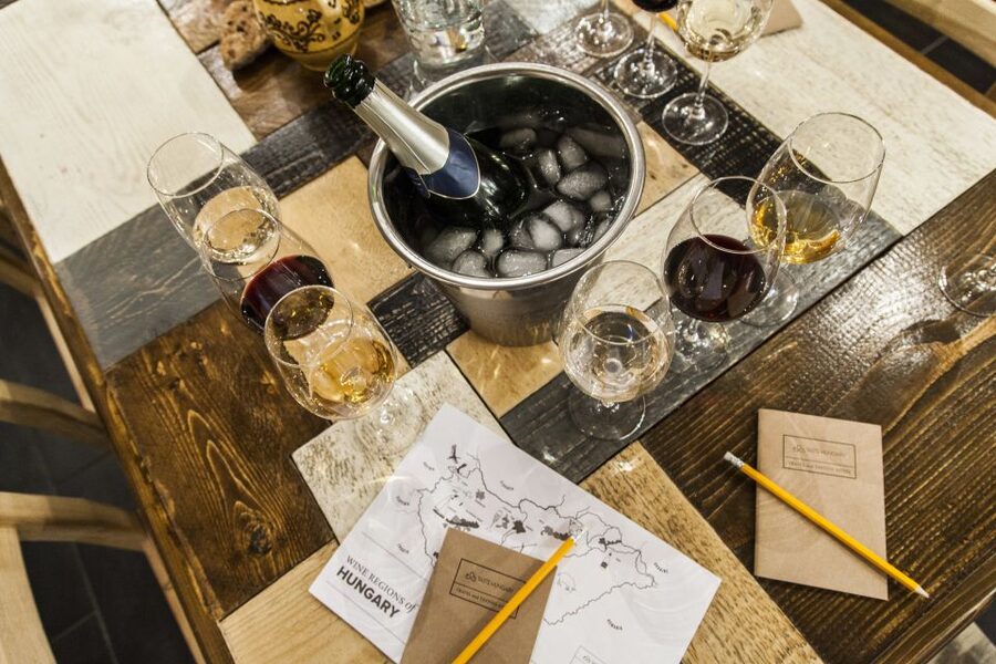 Budapest: Essentials of Hungarian Wine Tasting Class - Where this tasting happens in Budapest’s District VIII cellar mood