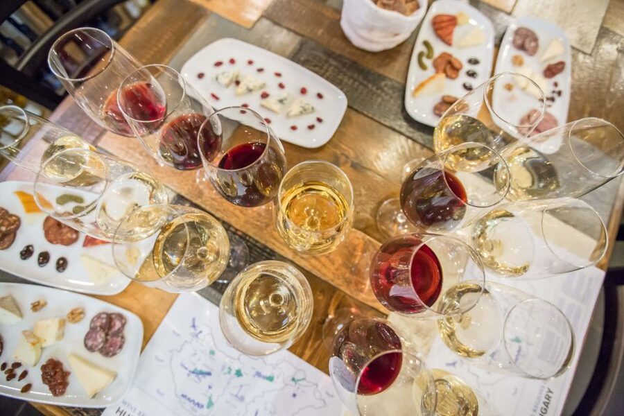 Budapest: Essentials of Hungarian Wine Tasting Class - How the sommelier turns Hungary into an easy story