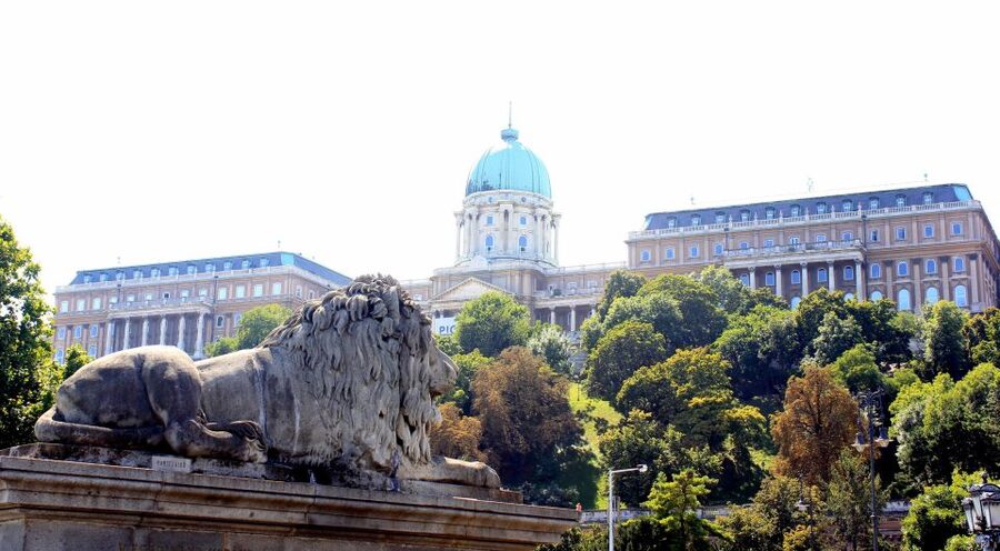 Budapest: Guided City Tour by E-Bike - Buda Castle District climb, Matthias Church, and Fisherman’s Bastion views