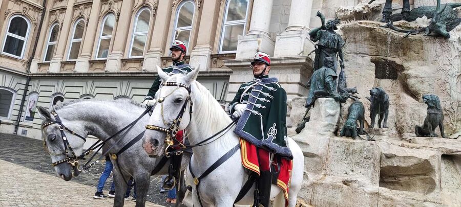 Budapest: Guided City Walking Tour in Buda and Pest - Pest to Buda by Public Transport: Keeping the Pace Without Burning Out