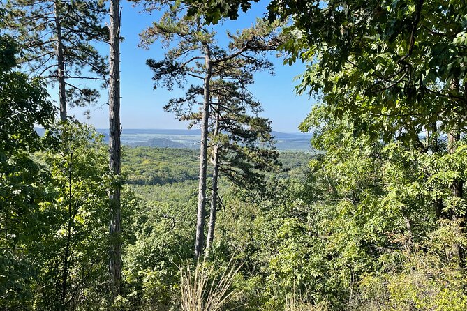 Budapest Hike - Picnic Lunch Included: Better Than Just a Snack