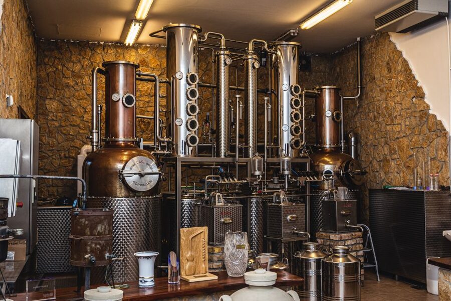 Budapest: Hungarian Whisky, Gin, and Pálinka Tasting - Small Group Size and English Instruction: Why It Matters