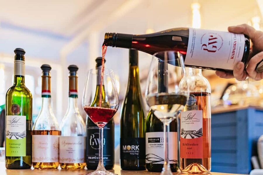 Budapest: Hungarian Wine Tasting with 7 Wines and Tapas - Should you book it? My take