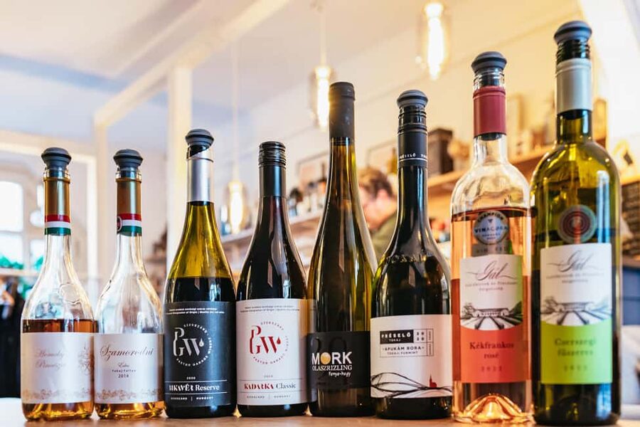 Budapest: Hungarian Wine Tasting with 7 Wines and Tapas - Who should book this Hungarian wine tasting in Budapest