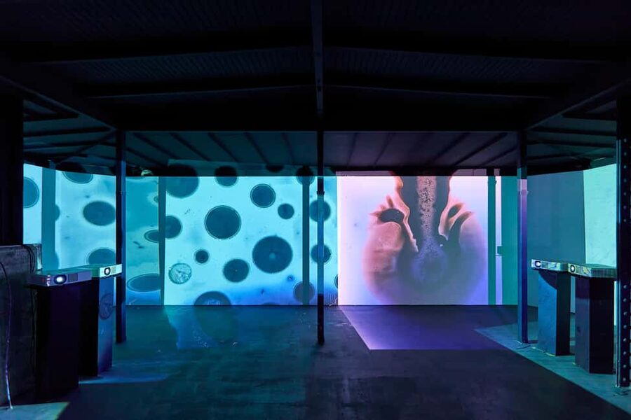 Budapest: Light Art Museum - Immersive New Media Experience - Price and value: around 18 dollars for 2 hours of art plus tech