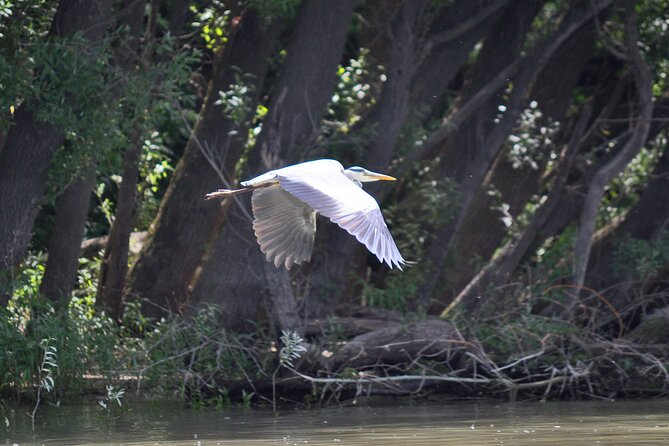 Budapest North Canoe Trip - Paddling up the Danube branch to your island rest break