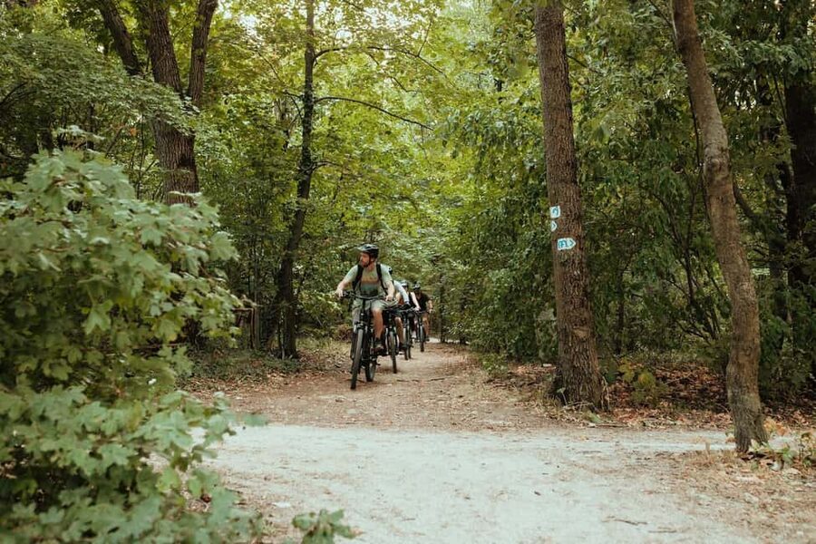 Budapest Peaks: Off-Road eBike Tour - Key things I’d prioritize before you go