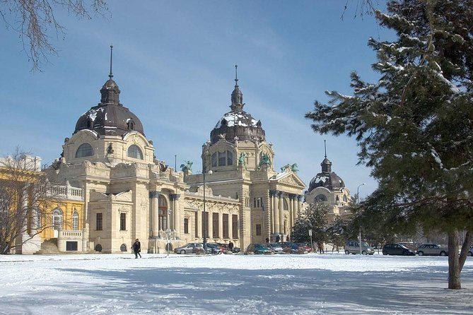 Budapest Széchenyi Spa with Danube Cruise and Optional Dinner - Should you book this Budapest Széchenyi plus Danube cruise?
