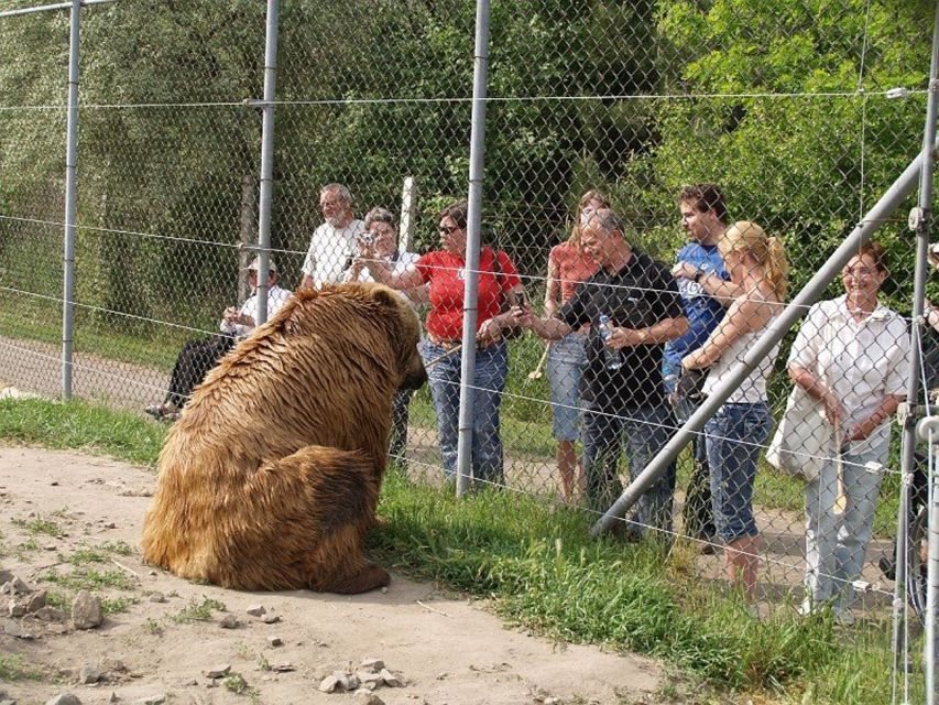 Budapest: Transport & Guided Tour of Bear and Wolf Sanctuary - Your 2-hour sanctuary tour: bears, wolves, and more