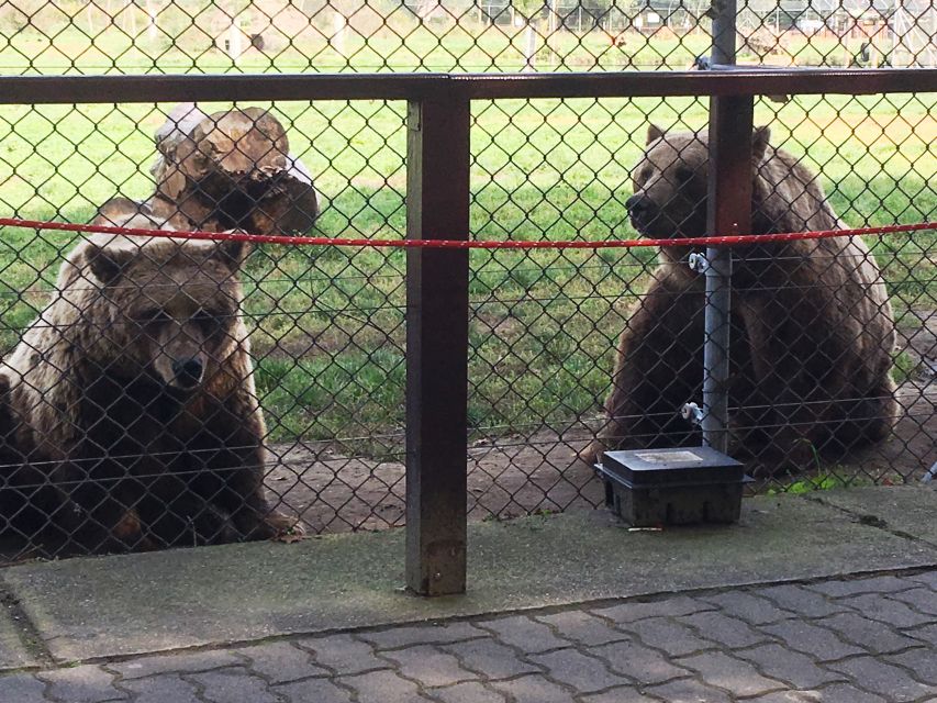Budapest: Transport & Guided Tour of Bear and Wolf Sanctuary - FAQ