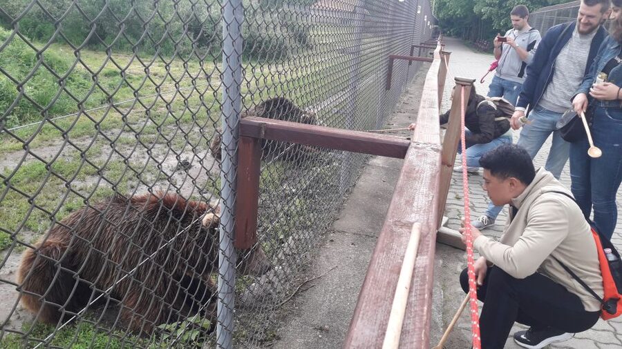 Budapest: Transport & Guided Tour of Bear and Wolf Sanctuary - Batthyány tér pickup and the road to Veresegyház