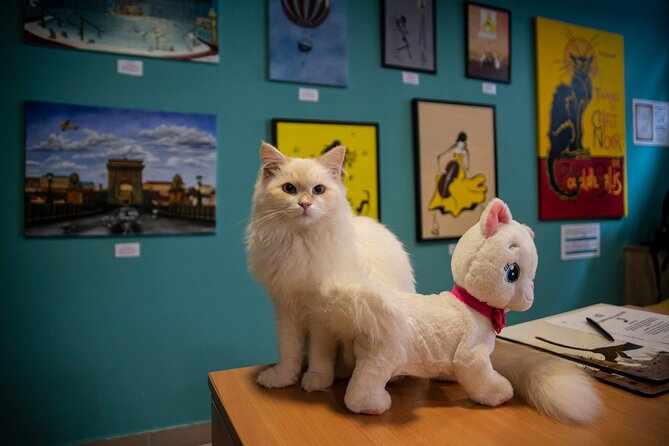 Cat Museum Budapest Entry Ticket - Price and Value: What You’re Paying For at Cat Museum Budapest