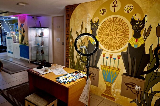 Cat Museum Budapest Entry Ticket - Upstairs in the Jungle Room: Movies, Tablet Quiz, and Souvenir Reward