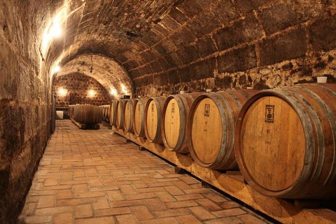 Countryside Half-day Gastro-Wine Tour from Budapest Meal & pickup - Key things that make this tour work