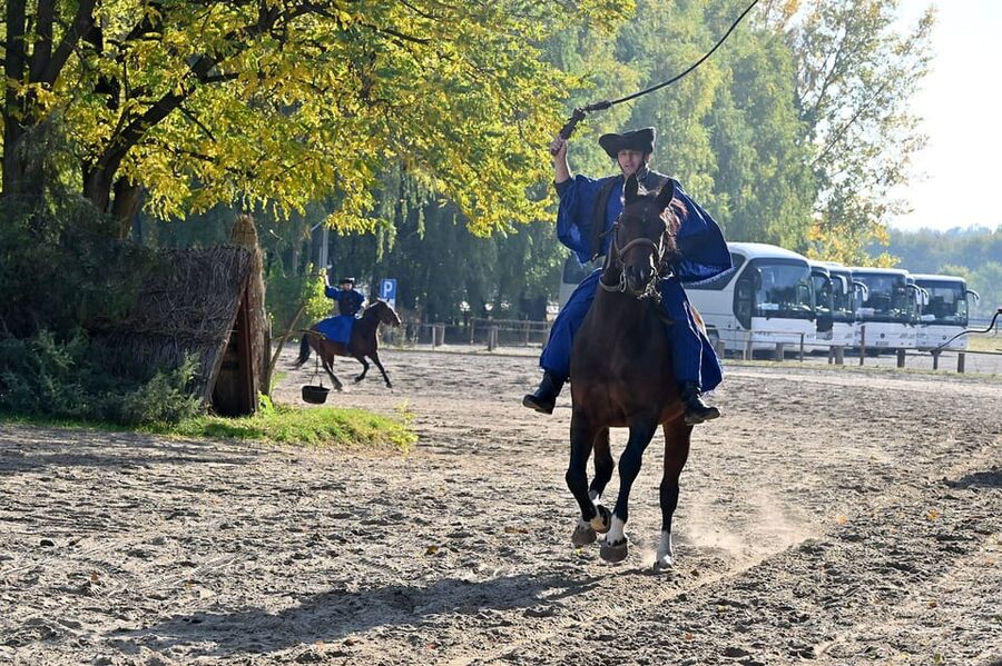 Countryside ranch, horse show & lunch - Guide Energy and Group Size: The Difference Between Chaos and Calm