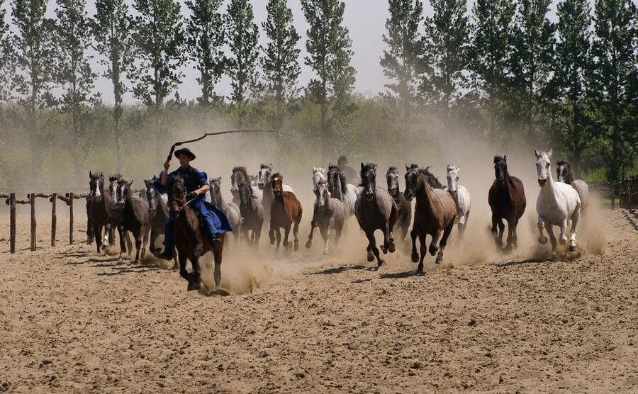 Countryside ranch, horse show & lunch - Photos With the Cowboys: A Simple Moment That Adds Heart
