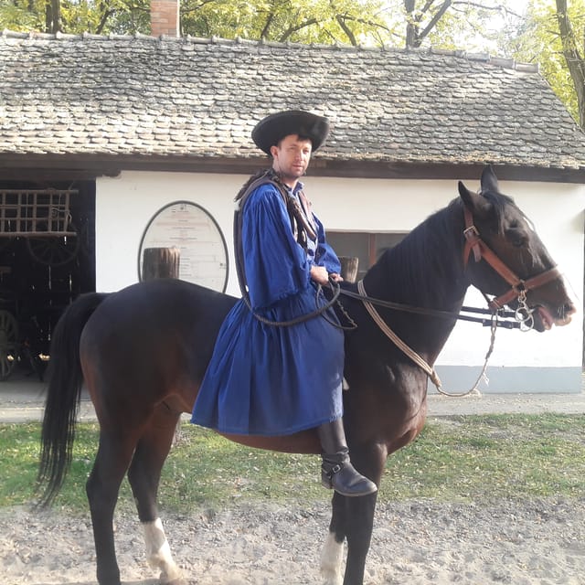 Countryside ranch, horse show & lunch - Lunch in the Puszta: Meat Goulash, Strudel, and Palinka