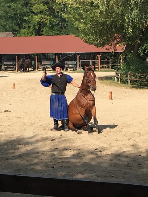 Countryside ranch, horse show & lunch - The Van Ride Back: How the Timing Shapes the Whole Day