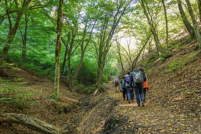 Danube Bend Hiking and Kayaking - The Forest Hike: About 5 Miles of Quiet Green Walking