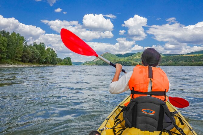Danube Bend Hiking and Kayaking - Swimming Stop and the River-Bank Break With Snacks and Drinks