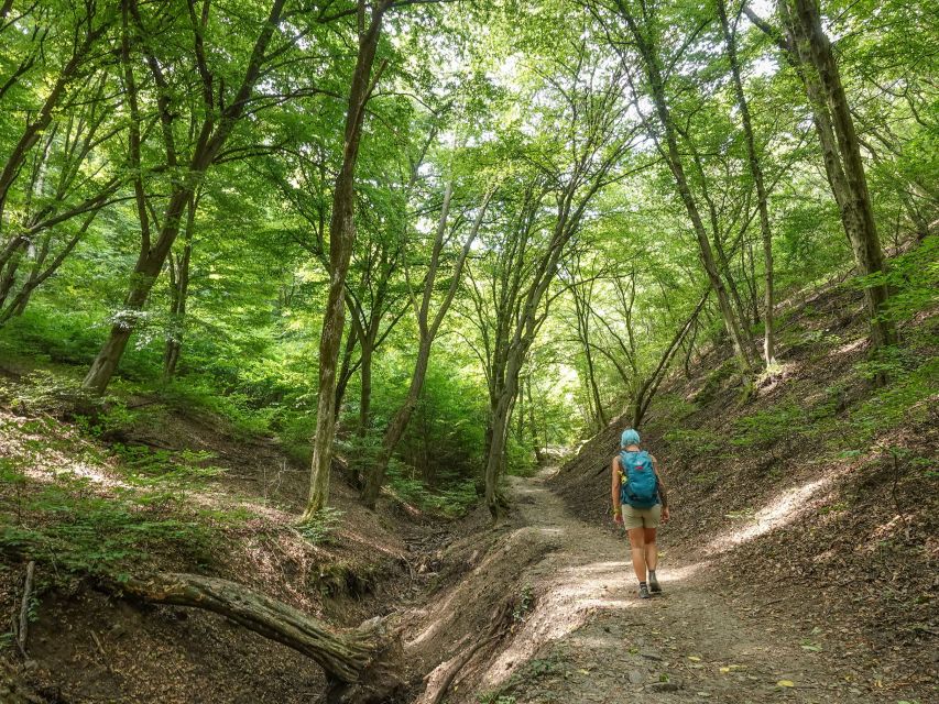 Danube Bend Hiking and Kayaking Adventure - Why Danube Bend Hiking Plus Kayaking Works So Well