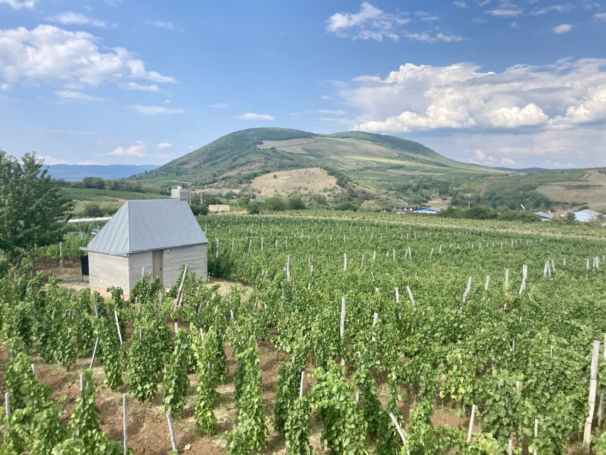 Eger: Countryside, Culture, and Wine Private Tour - Ottoman-era Eger: the Turkish minaret and the thermal bath area
