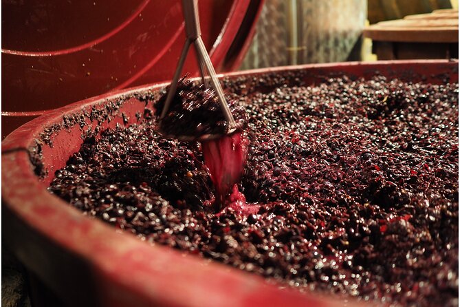 Etyek Private Half-Day Wine Tasting Tour from Budapest - Who This Etyek Tour Is Best For