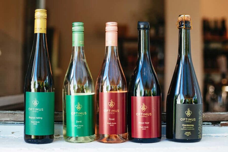 From Budapest: Etyek Wine Tasting Tour with 3-Course Meal - Things to watch on tasting day (so the afternoon stays fun)