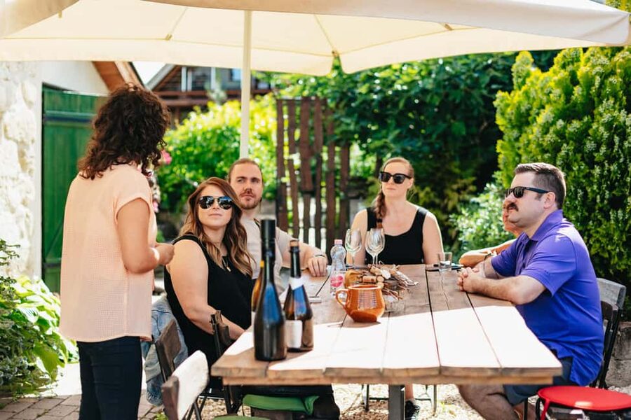 From Budapest: Etyek Wine Tasting Tour with 3-Course Meal - A half-day escape from Budapest to Etyek wine country