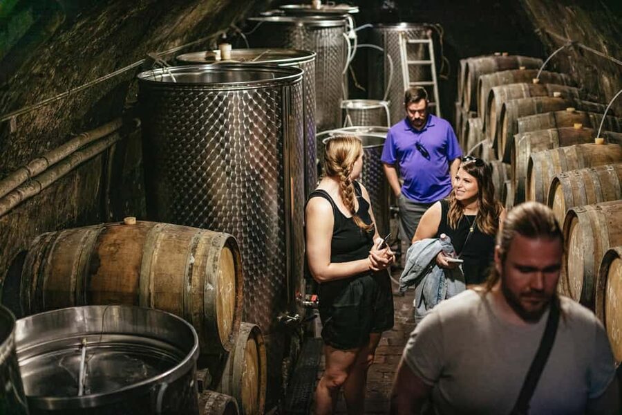 From Budapest: Etyek Wine Tasting Tour with 3-Course Meal - Who should book this Etyek tour, and who should skip it