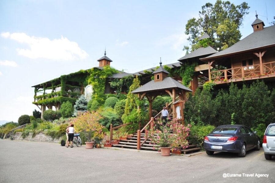 From Budapest: Full-Day Danube Bend Tour with Lunch - Price and Logistics: Is $122 Good Value?