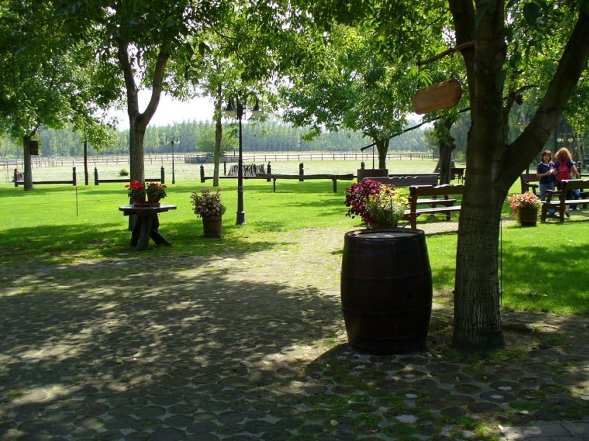 From Budapest: Full-Day Puszta Tour with Lunch and Show - Key things to know before you go