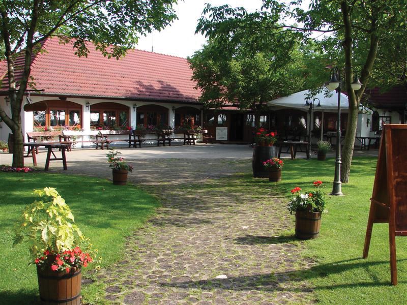 From Budapest: Full-Day Puszta Tour with Lunch and Show - Lajosmizse horse ranch: pálinka, stables, and the feel of the Great Plain