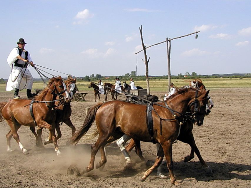 From Budapest: Full-Day Puszta Tour with Lunch and Show - The 3-course Hungarian lunch with wine: why it’s more than fuel