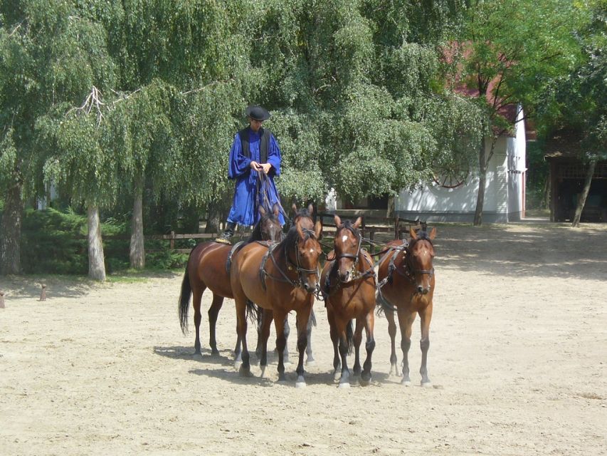 From Budapest: Full-Day Puszta Tour with Lunch and Show - Who should book this Puszta day trip, and who should skip it