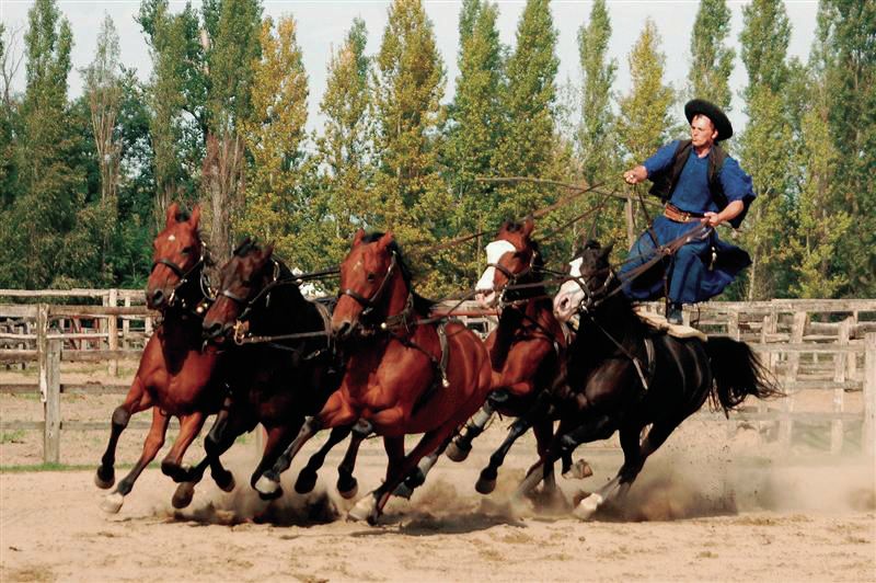 From Budapest: Full-Day Puszta Tour with Lunch and Show - Kecskemét walking tour: what you’ll actually see with a live guide