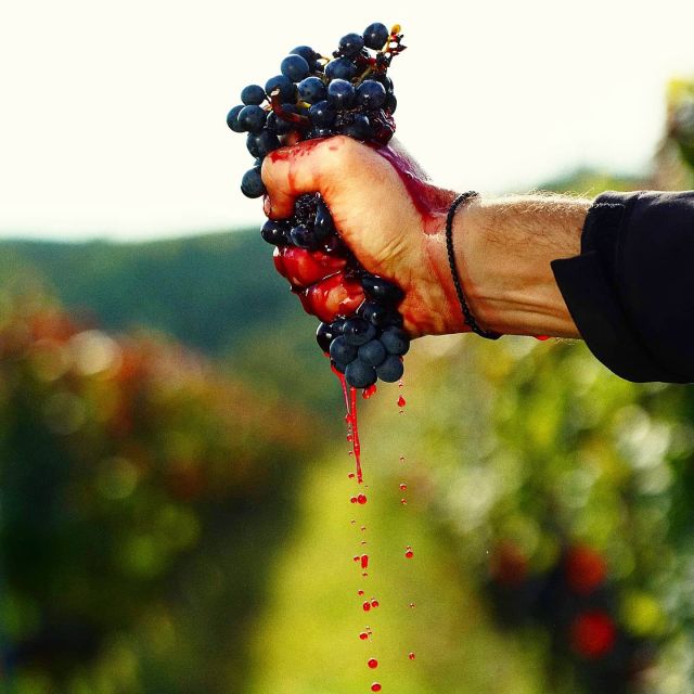 From Budapest: Guided Tour of Eger with Wine Tasting - Wine tasting in Szépasszony-völgy, the highlight block of the day