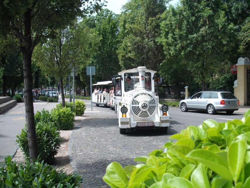 From Budapest: Lake Balaton Day Tour - Guide quality, audio, and language realities