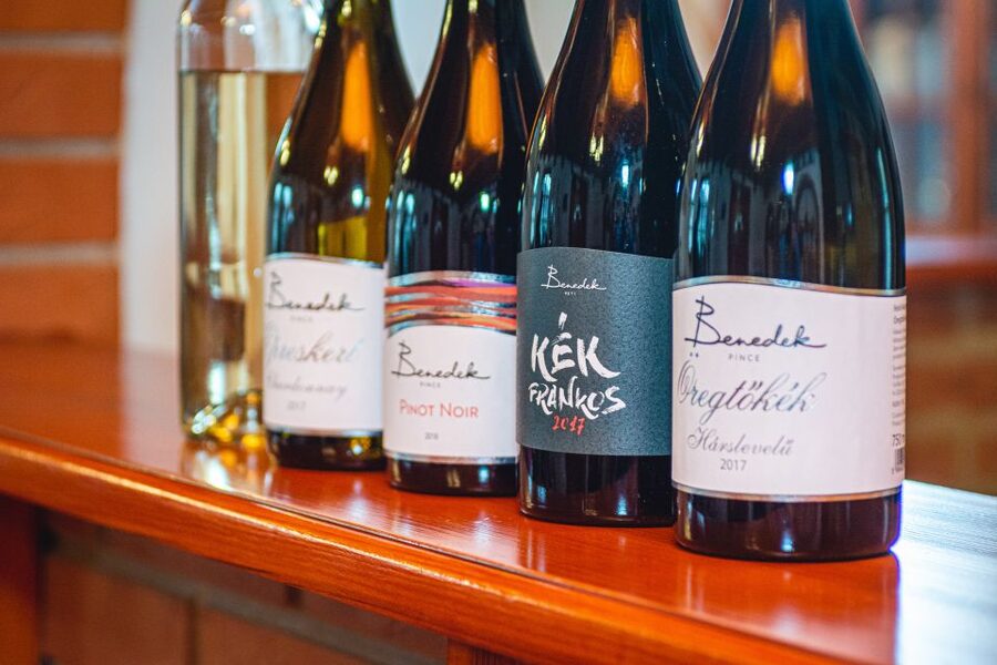 From Budapest: Mátra Hills Wine Tour - What you will taste: whites, reds, and the snack pairing
