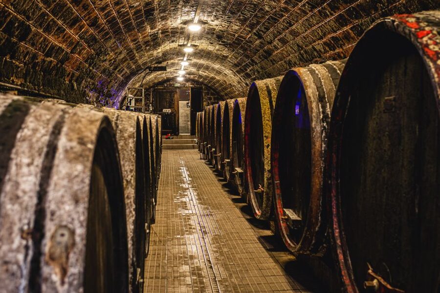 From Budapest: Mátra Hills Wine Tour - Who this Mátra Hills tour is best for